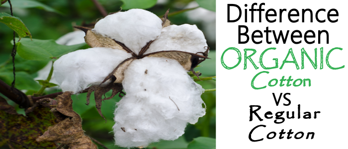 What is the difference between organic cotton and cotton