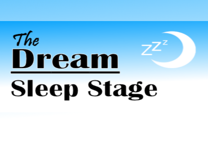 what stage of sleep do you dream