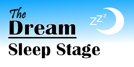 what stage of sleep do you dream