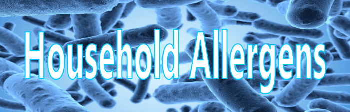 Household Allergens and Your Sleep