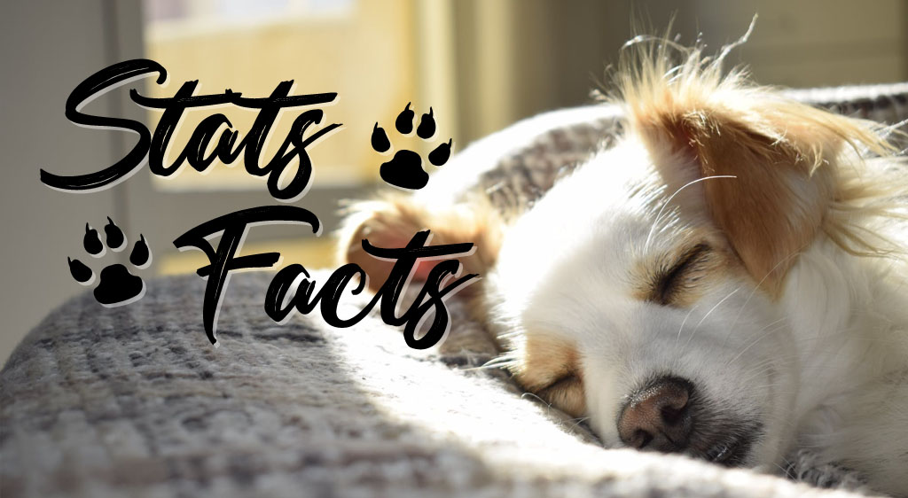 animal sleep statistics and facts
