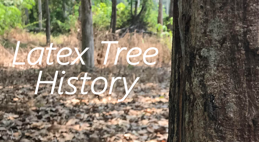 latex tree history