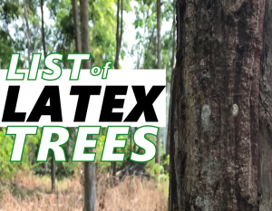 list of latex trees
