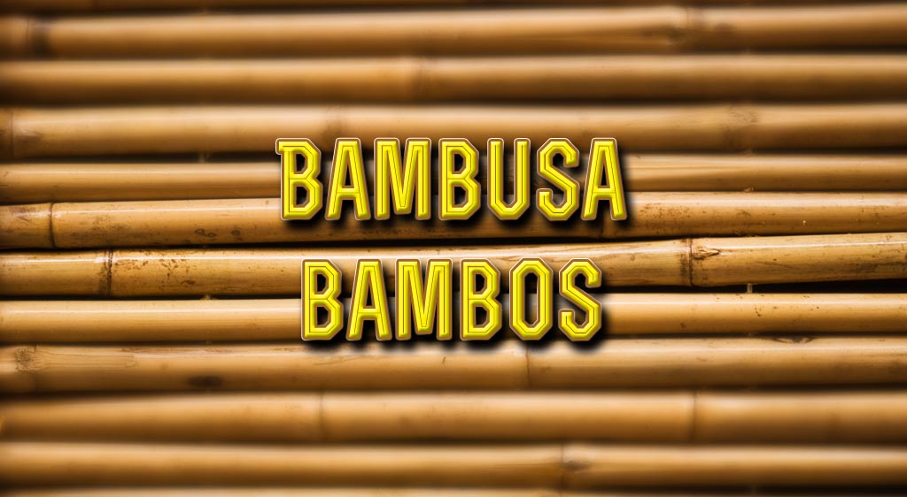 list of bamboo trees bambusa bambos