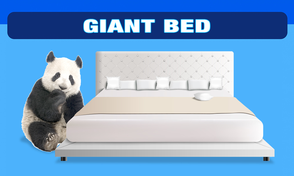 giant bed