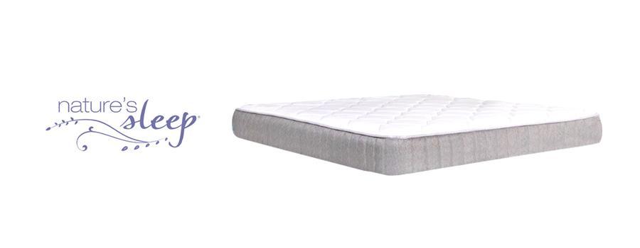 thin mattress belize