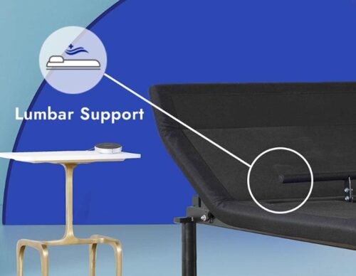 ergomotion quest 4.0 lumbar support adjustable bed