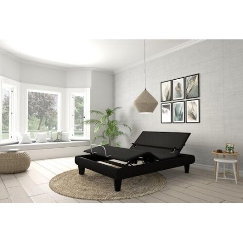 ergomotion ergo rio 6.0 split california king adjustable bed