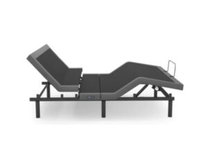 rize gold adjustable bed