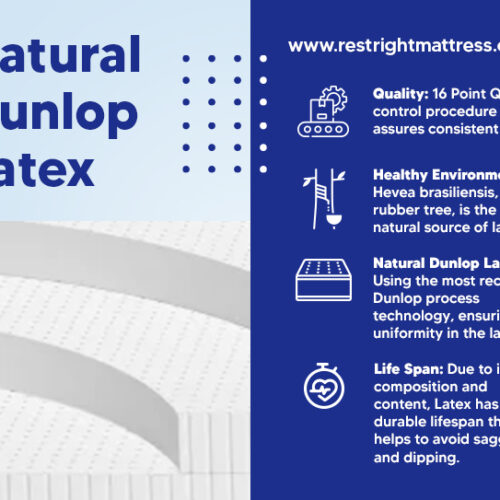 kingship comfort split top latex material