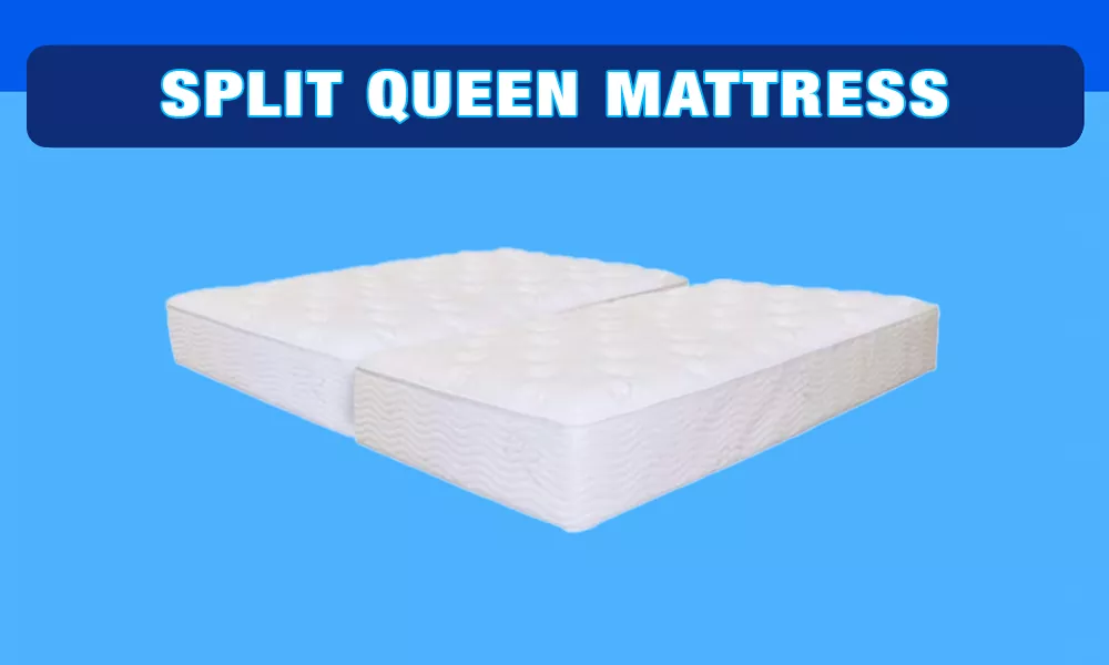 Best Split Queen Mattress Best For 2022(2) 30" x 80" Mattresses