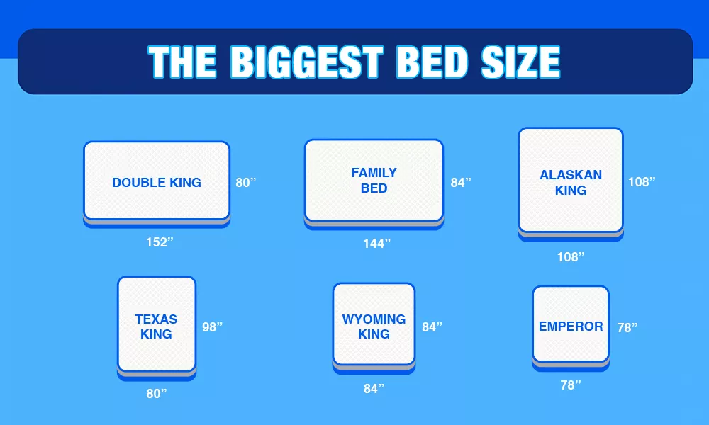 Biggest Bed SizeEvery Large Size Listed