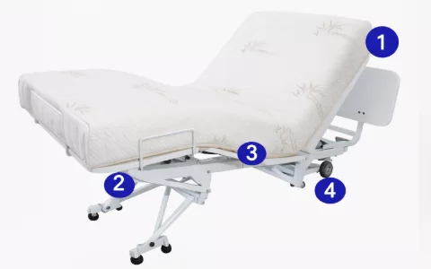 transfer master valiant features